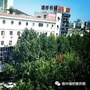 宿州埇桥微供销ico