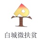 白城微扶贫ico
