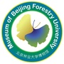 北京林业大学博物馆公众号ico