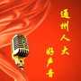 通州人大好声音ico
