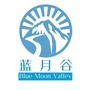 盛世河山ico