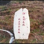 桃醉峰灵ico