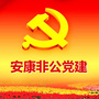 安康非公党建ico