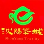 沈阳茶城ico