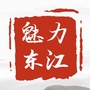 魅力东江ico