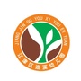 江津区油溪幼儿园ico