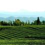 名山发展改革ico