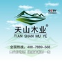 天山木业ico