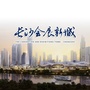 长沙会展新城ico