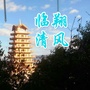 临翔清风ico