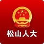 松山人大公众号ico