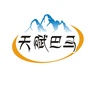 天赋巴马ico