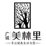 广诚美林里ico