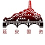 延安国资委ico