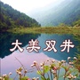 大美双井ico