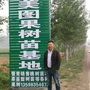 河南美图果树苗木基地公众号ico