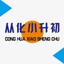 从化小升初ico