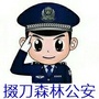 掇刀森林公安公众号ico