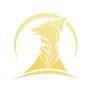 之江星语公众号ico