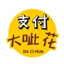 支付大呲花ico