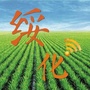 魅力绥化ico