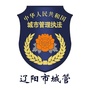 辽阳市城管ico