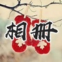 芳华电子相册ico