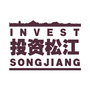 投资松江ico