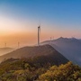 圣境子陵ico