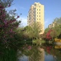 平吉五村居委会ico