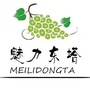 魅力东塔寺乡ico