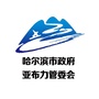 亚布力度假区ico
