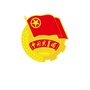顺河团委ico