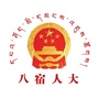 八宿人大ico