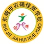 东莞市石碣佳辉学校ico