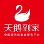 天鹅到家商学院ico