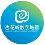 杏花岭区数字城管中心ico