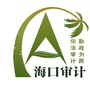 海口审计ico