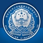 新城河西所ico