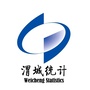 渭城统计微讯ico