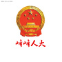 峰峰人大ico