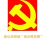 OCT先锋安仁ico
