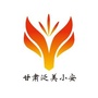甘肃泛美小安公众号ico