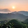 美丽蕨溪ico