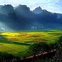 湖南一老乡大群ico