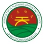广东顺天ico