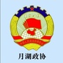 月湖政协ico