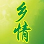 你不知道的邻村事公众号ico