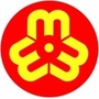 东升镇妇联ico