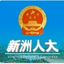 新洲人大ico